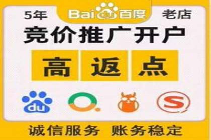 专业SEM托管如何助力电商行业增长？——案例分析